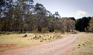 the pines campground.jpg