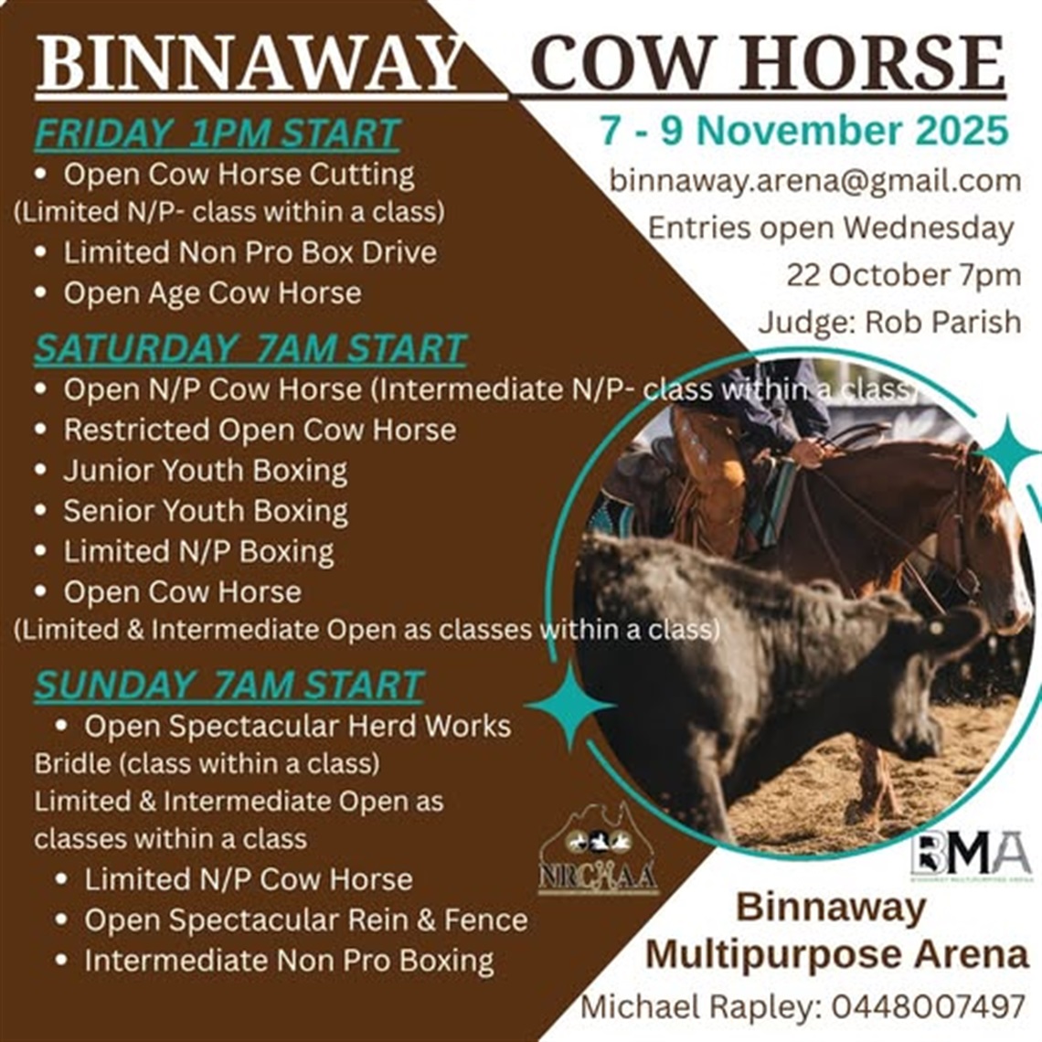 binnawaycowhorse.jpg
